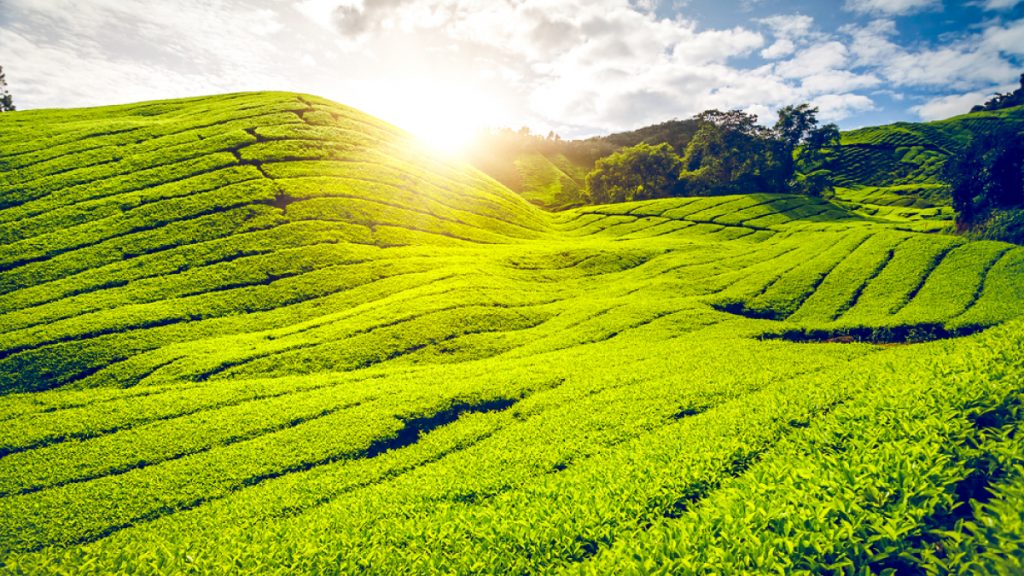 June Solstice in Malaysia